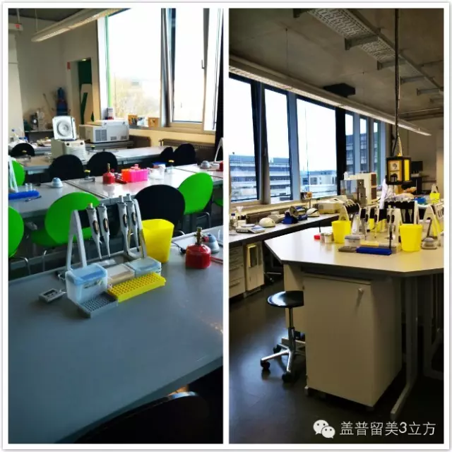 德國哥廷根XLAB科學夏令營(10-12年級,大一、大二) 德國哥廷根XLAB科學夏令營(10-12年級,大一、大二)